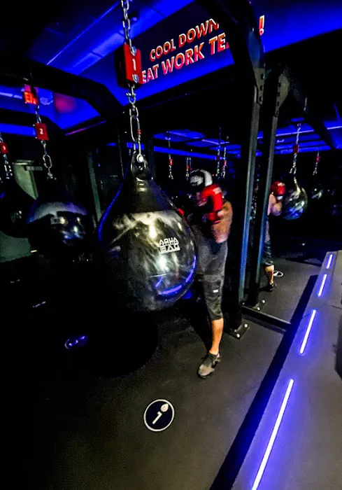 Rumble Boxing Picture 4