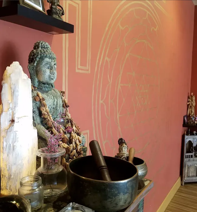 Yogalution Movement & Wellness Picture 5