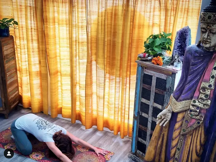 Yogalution Movement & Wellness Picture 8