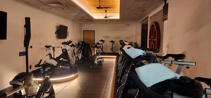 Iconix Fitness Picture 4