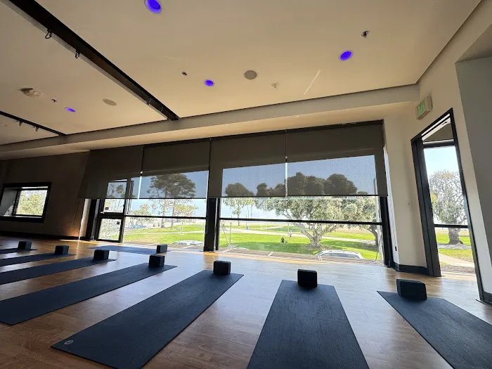 Iconix Fitness Picture 5