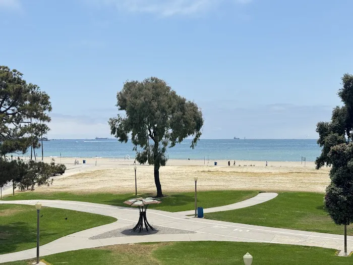 Iconix Fitness Picture 6