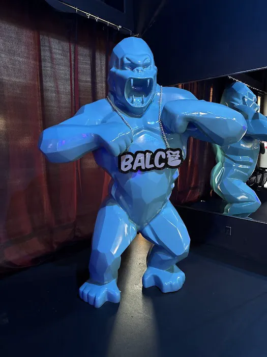 OC Lab Gym and Fitness Center Picture 6