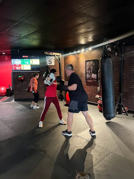 9 Round Fitness - Orange Picture 4