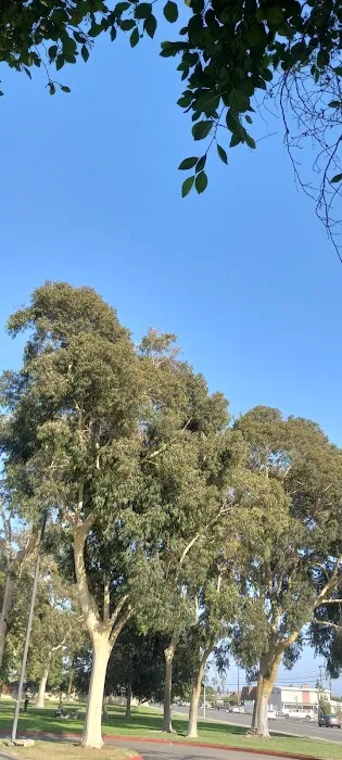 Westminster Park Fitness Zone Picture 10