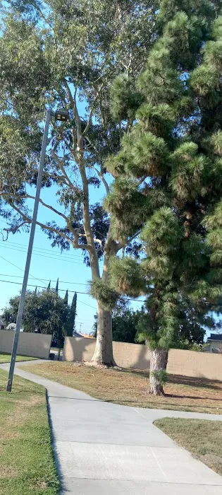 Westminster Park Fitness Zone Picture 2