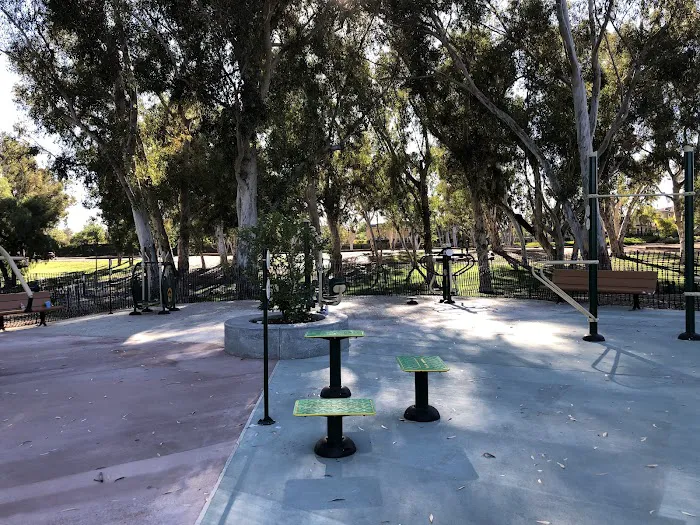 Tri-City Park Gym Picture 1