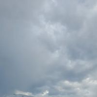 AMOUS BOXING CORNER ico