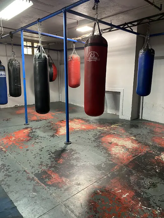 South L.A. Boxing Gym Picture 1