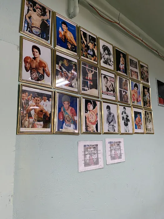 South L.A. Boxing Gym Picture 9