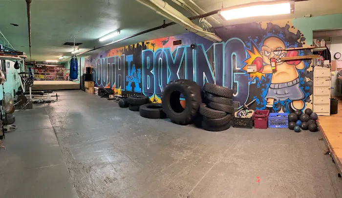 South L.A. Boxing Gym Picture 7