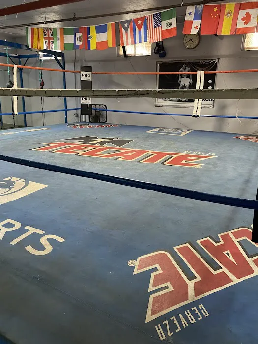 South L.A. Boxing Gym Picture 4