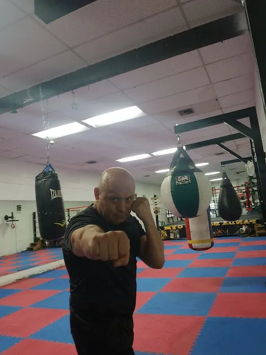 Step Aerobics cardio Picture 2