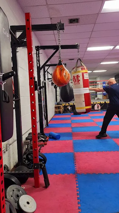 Step Aerobics cardio Picture 8