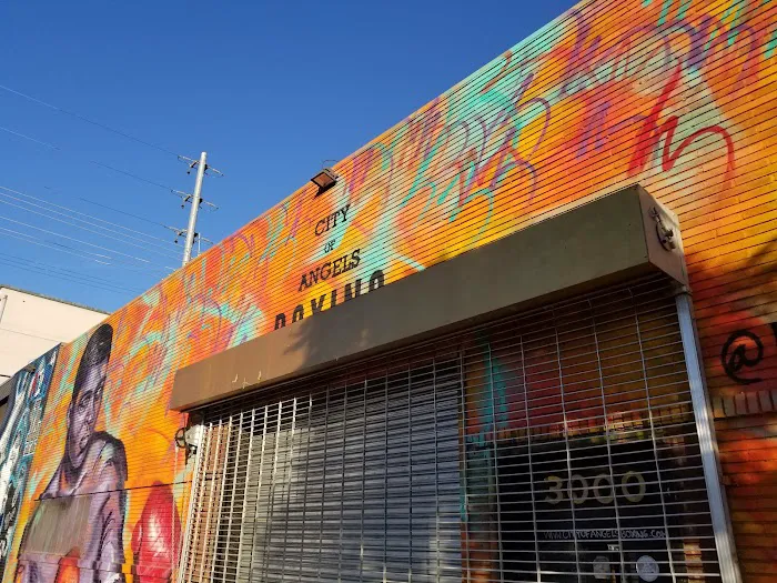 City of Angels Boxing Picture 6