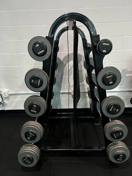 D.T.L.A. Fitness Picture 4