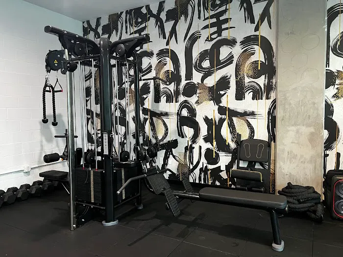 D.T.L.A. Fitness Picture 3