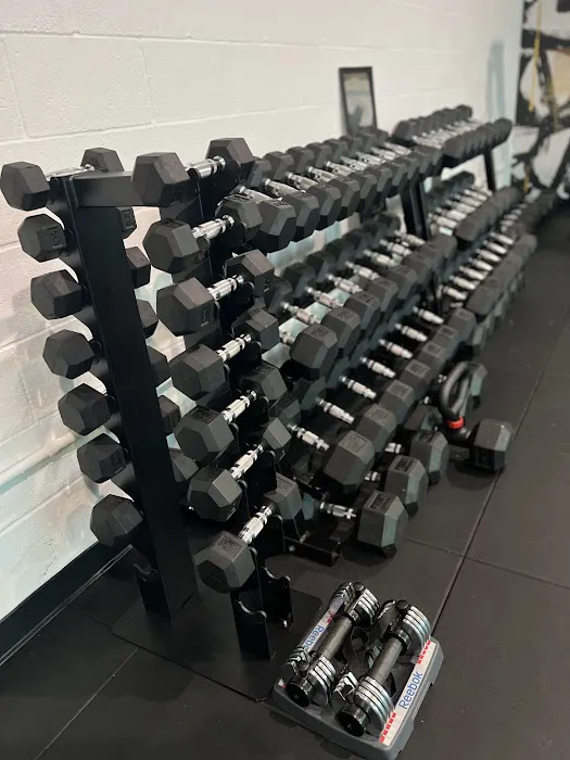 D.T.L.A. Fitness Picture 10