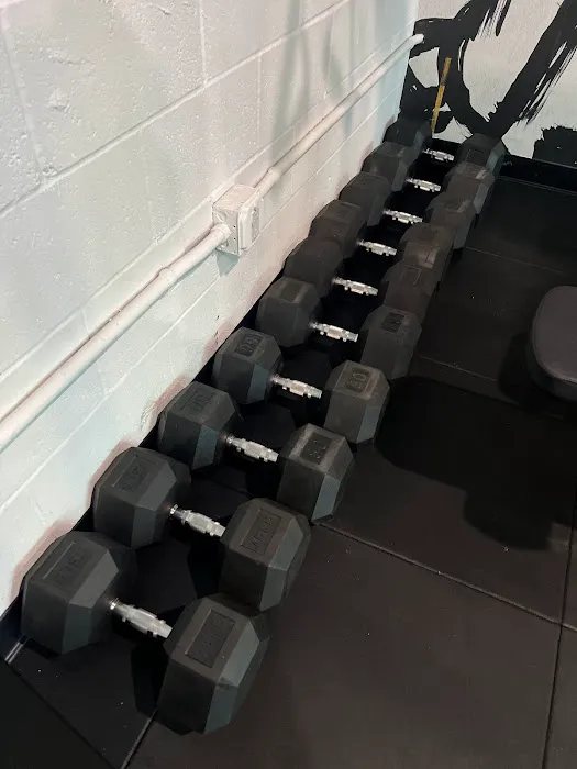 D.T.L.A. Fitness Picture 8