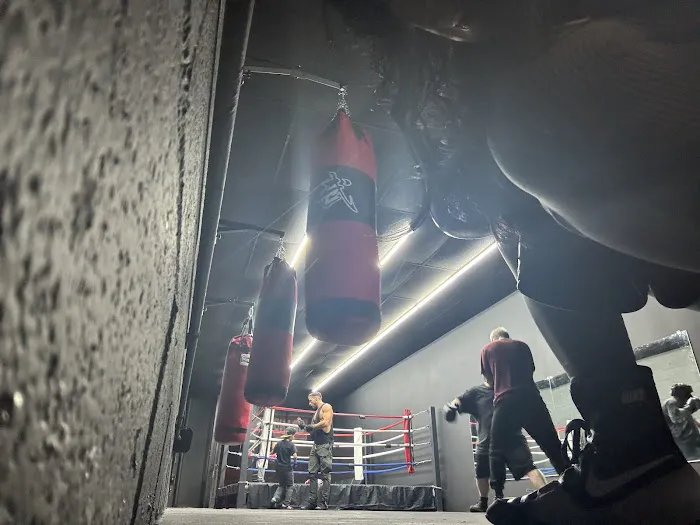 Infinity Boxing Picture 10