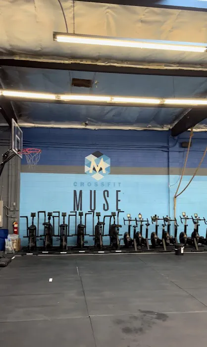 CrossFit Muse Picture 6