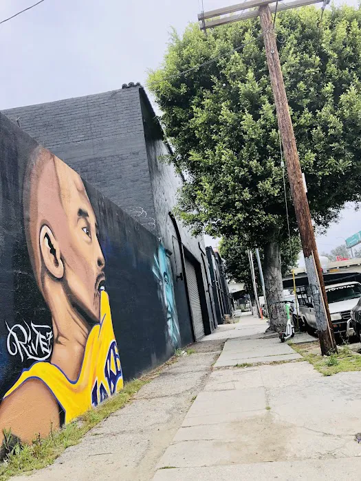 Crosscourt Picture 4