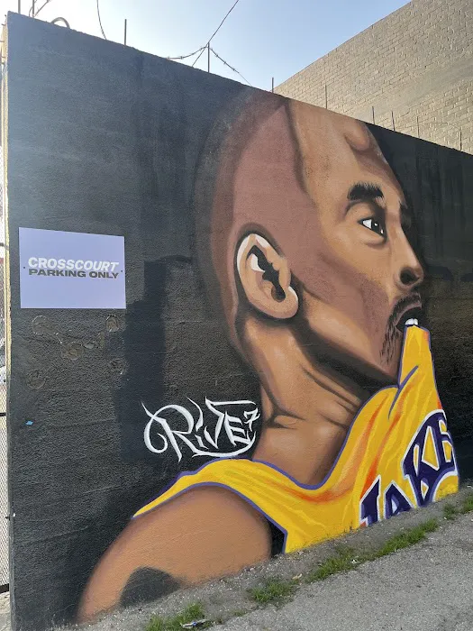 Crosscourt Picture 9