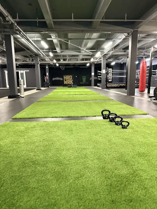 Tone Body Fitness XL Picture 3