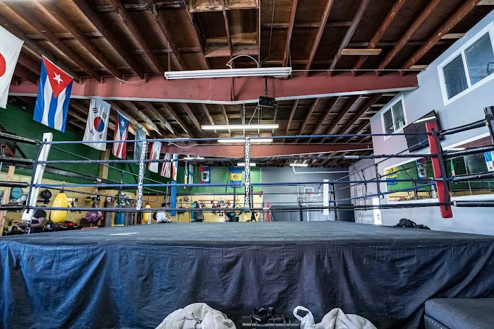 JackRabbit Boxing Academy Picture 1