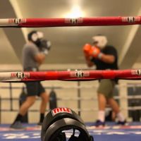 Guv'nors Boxing Club ico