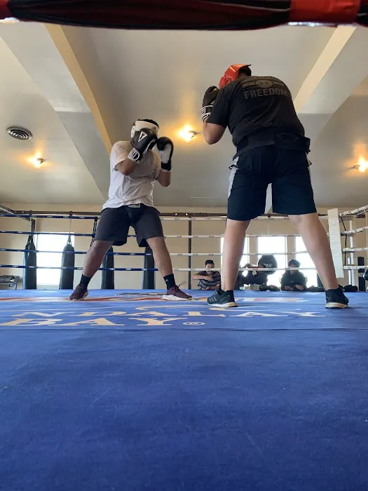 Guv'nors Boxing Club Picture 4