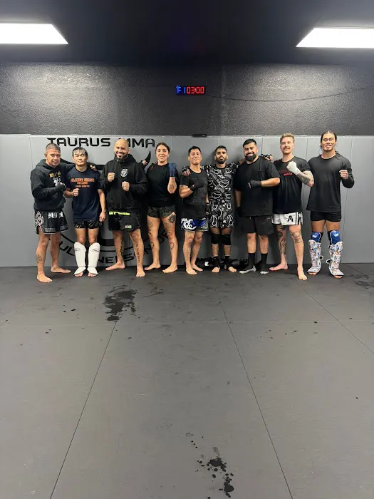 Taurus MMA Picture 6