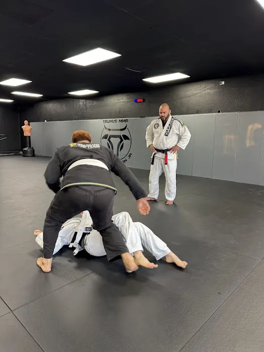 Taurus MMA Picture 7