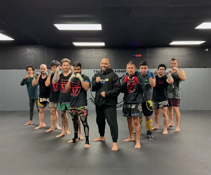 Taurus MMA Picture 2