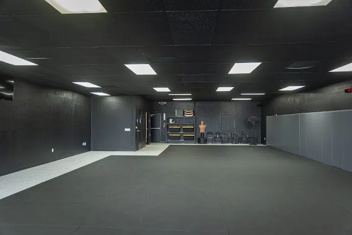 Taurus MMA Picture 1