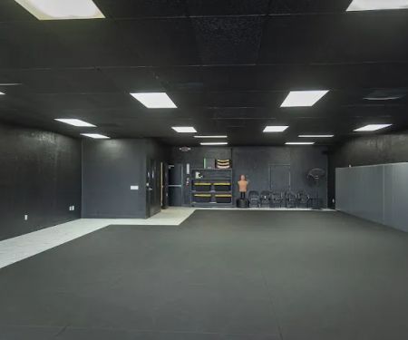 Taurus MMA