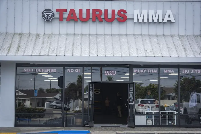 Taurus MMA Picture 4