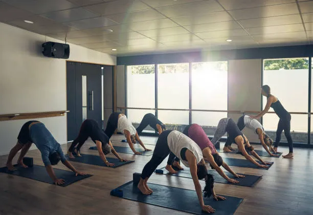 Makai Fitness - Pilates, Yoga, Wellness Picture 9