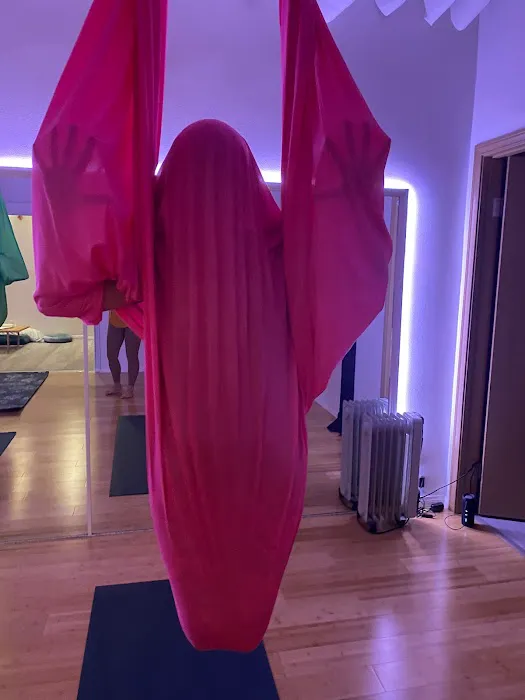 Bootea Flow Yoga Studio Picture 10