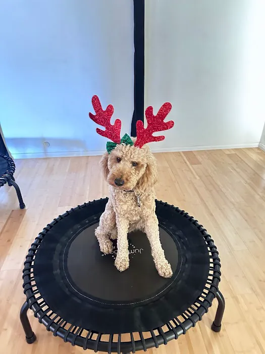 Bootea Flow Yoga Studio Picture 4