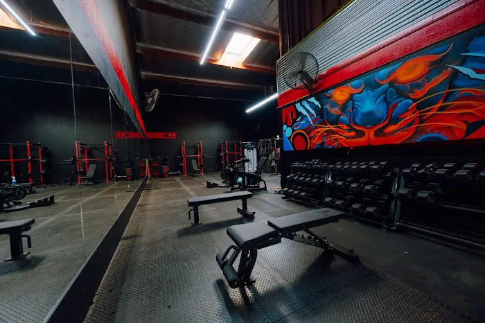 Lifting Standards Picture 8