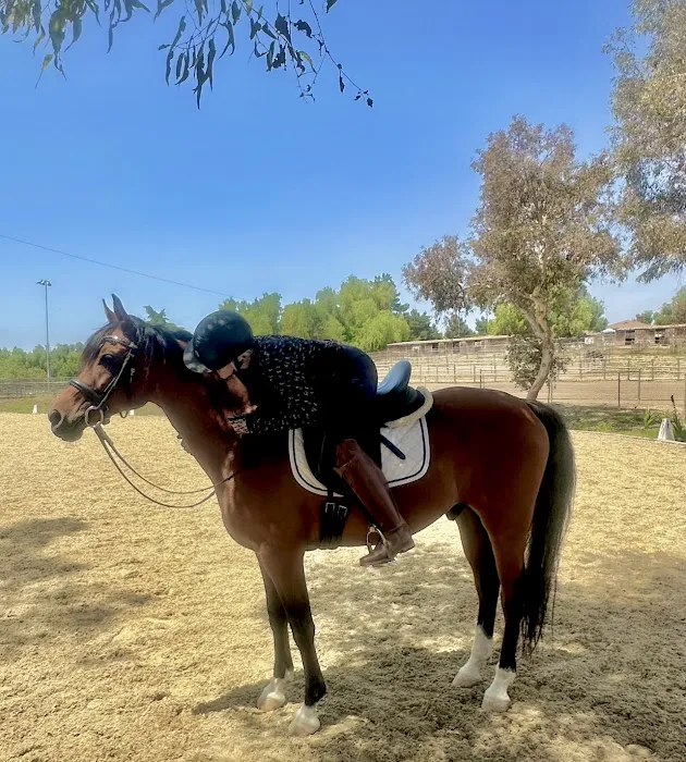 Lifting Standards Picture 9