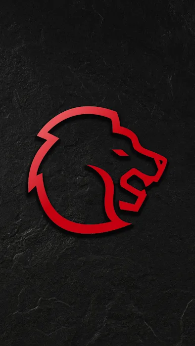 Lifting Standards Picture 5