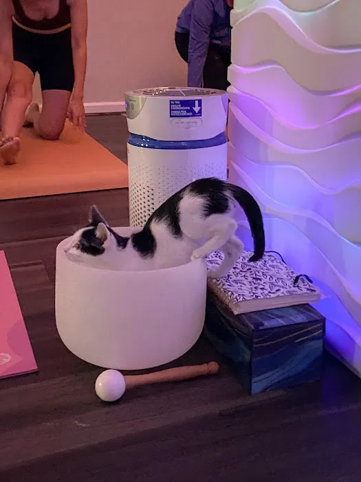 Blue Healer Yoga Picture 6