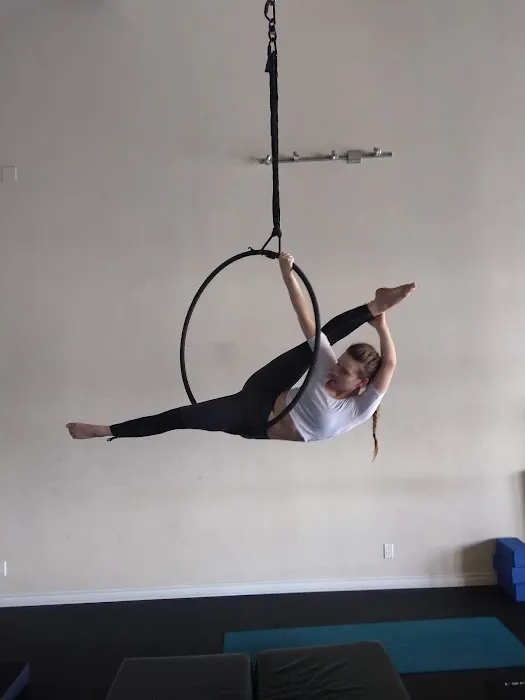 Urban Aerial Fitness Picture 5