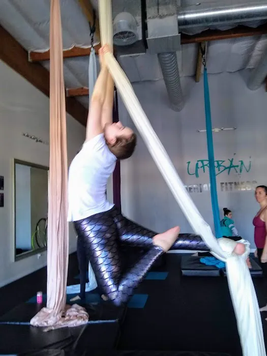 Urban Aerial Fitness Picture 7