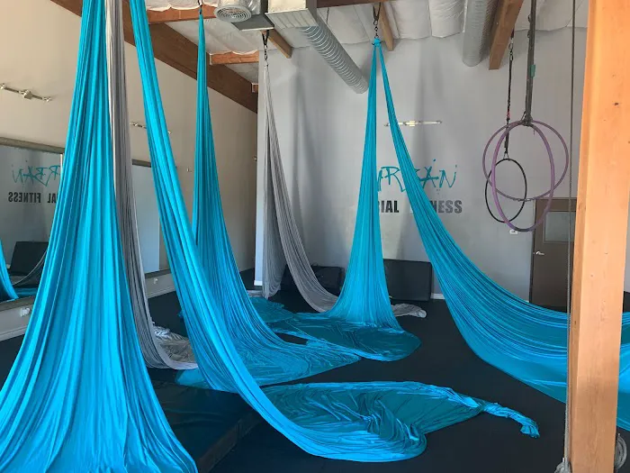 Urban Aerial Fitness Picture 2