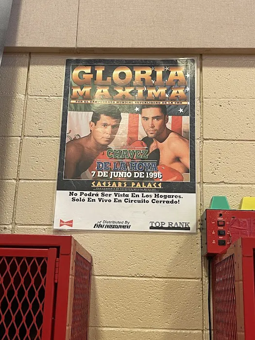 TKO Youth Boxing Club Picture 5