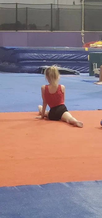 California Gymnastics Picture 4