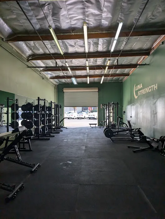 Luna Strength Picture 5